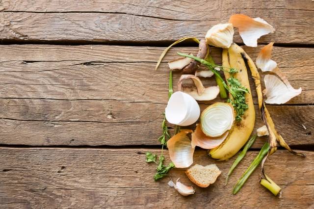 게티이미지뱅크