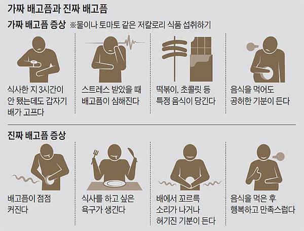 가짜 배고픔과 진짜 배고픔 증상./사진=헬스조선 DB