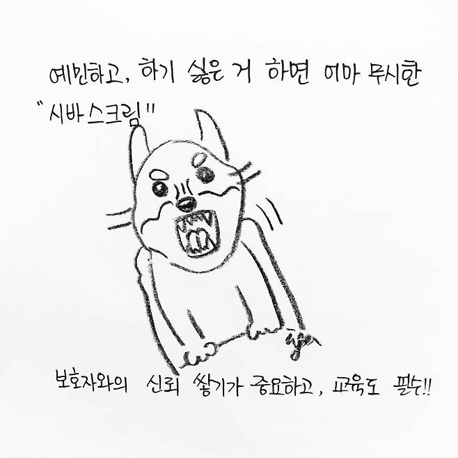 해피펫툰 시바견 © 뉴스1