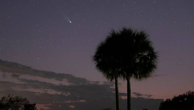 지난 24일 미국 플로리다 배로 해변 위 하늘을 수놓은 레너드 혜성의 모습. 사진=로이터 연합뉴스