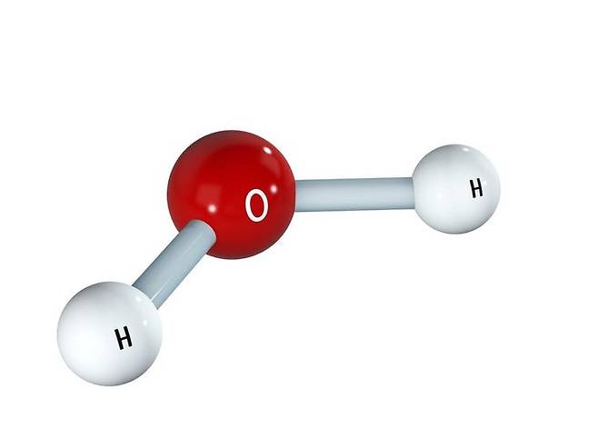 출처=https://phys.org