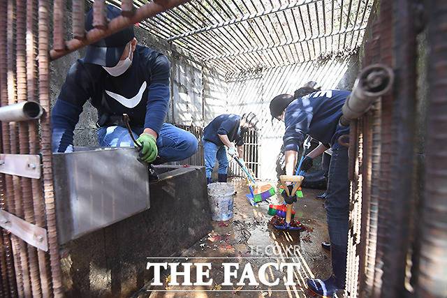 곰 보금자리 프로젝트 활동가들은 매주 일요일마다 이 곳을 방문해 사육장 청소와 먹이를 채워주고, 건강상태를 살피며 사육곰들을 위한 환경 개선에 힘쓰고 있다.