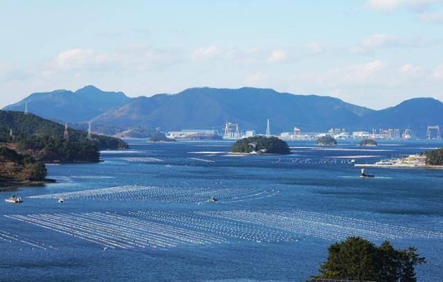 통영타워에서 고성 방면으로 보면 양식장 부표가 구슬처럼 연결돼 있다.