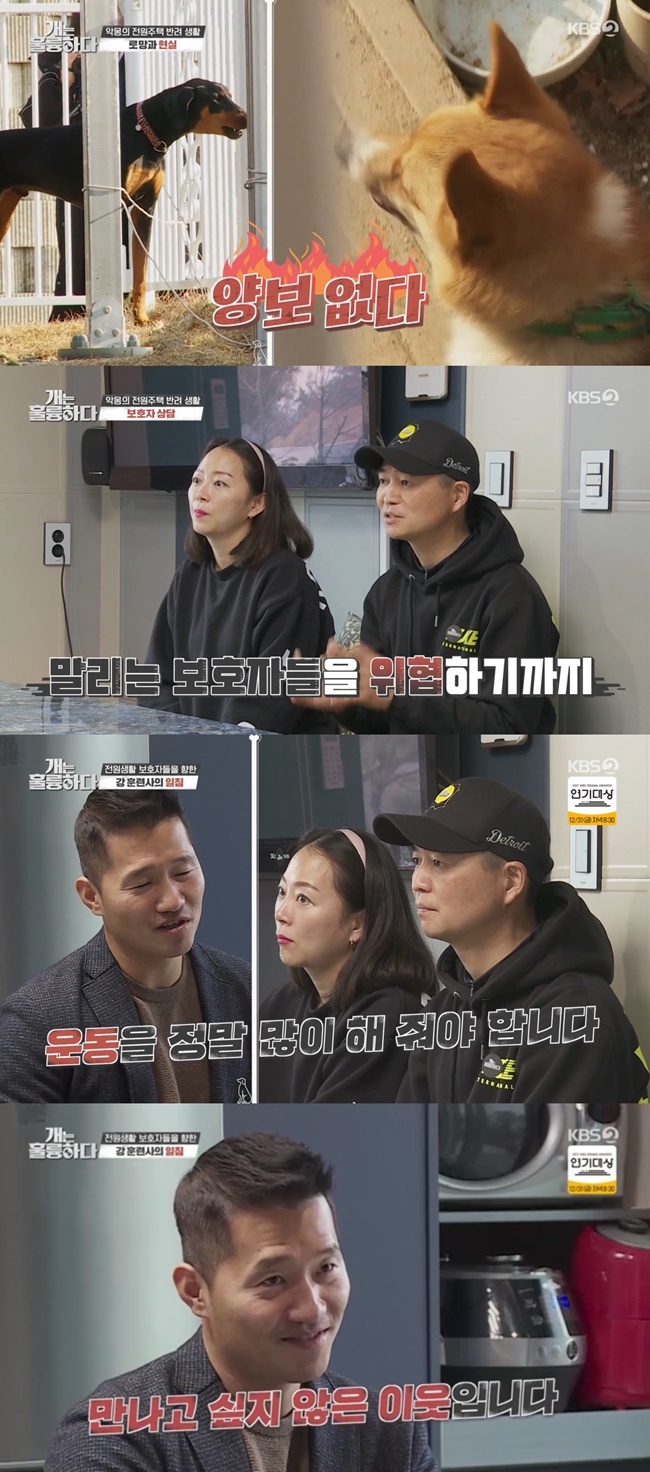 Trainee Kang Hyung-wook  threw a stone fastball at people living in the wrong former One home.On KBS 2TVs Dogs Are Incredible (hereinafter referred to as Gae-yung), which was broadcast on December 27, the story of Doberman Dochi, a troubled dog who suffers from a disagreement with his neighbors due to barking noise during his life with his former homemate, was drawn.The war began in the peaceful former One life: Dozzi began barking at her lower house puppy Welsh Corgi.To make matters worse, the other house poppy started to bark, and the neighborhood was filled with barking noise. Kang Hyung-wook , who saw it, hated thats really crazy.The biggest worry is conflict with two upper-level puppys over lower-level Welsh Corgie; husband Guardian said: I suddenly get excited when I pass through the upper house, thats severe.To solve the problem, Kang Hyung-wook  met with the Guardian couple; Kang Hyung-wook  said, You have to know Friend called Doberman.These Feelings should be careful. These Friends are one month different. They will be threateningly fierce soon. If you growl, you should not touch them. The Guardian couple showed a confused face in the unexpected diagnosis of Dozzis aggression.As the months passed, he did what he didnt do. He gets into a mess when he passes the house.Kang Hyung-wook  said, It is a very dangerous sign of stress transfer. The walking dog, Doberman, emphasized that the way to raise is different.Kang Hyung-wook  said: Doberman gets very cold because of his short hair, these Friends are very segregated and anxious without Guardian, and he doesnt know what to do.There is also a big problem with the house: the wrong romance of the entire one house. Many dogs live outside the entire one house.This is the same for all dogs. The entire One house that raises dogs outside is very uncomfortable.The back Madang is blocked by a wooden fence so that you can not see the other Madang. It is wrong to leave the barking dog in Madang.  (Dozzie) is just doing it because hes left to graze. You really have to go to Haru a few times. You have to exercise, not walk for 30-40 minutes.In Europe, we ride bicycles together. We put such a puppy in Madang, so we graze. Her husband, Guardian, who heard this, said: Its Feelings who were beaten by a hammer, Im a former One and I think I only saw a picture of him playing in Madang.It is true that I walked to Haru for an hour and thought that I had done my job. I did not know it was so serious. Kang Hyung-wook  said, I would like to speak to all my partners living in a single house. I will be honest. I am a neighbor who does not want to meet.As a solution, she suggested living in the room, playing tugs, and walking with excitement control. Her husband, Guardian, was surprised by the calming Dozzi.It was not a complicated and difficult problem, but I think I only found an easy way, her husband Guardian said.