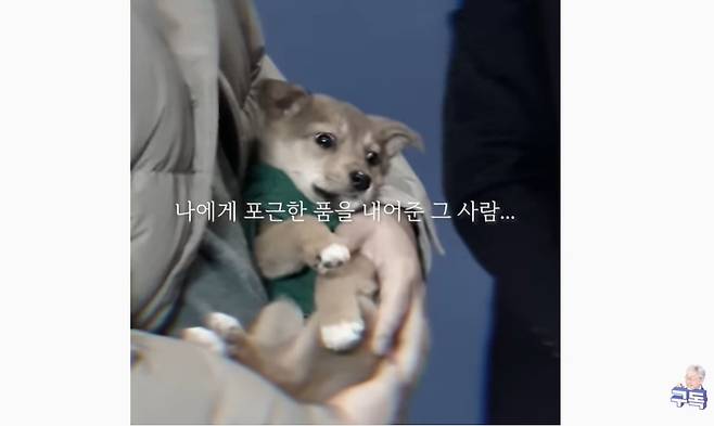 [이재명 유튜브 캡처]