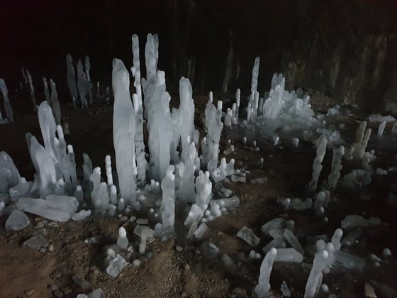 경기도 연천군 경원선 폐터널에 다양한 역고드름이 땅에서 하늘로 자라고 있다. 이석우씨