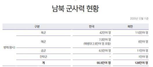 [남북 군사력 현황] [2020 국방백서 캡처]