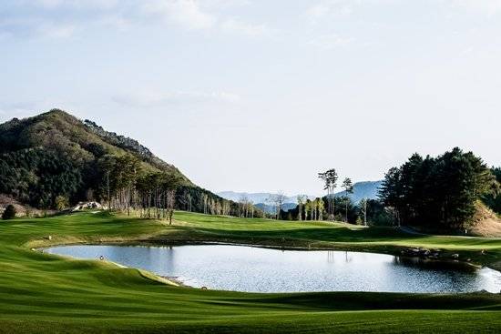 자작나무와 호수가 어우러져 빼어난 풍광을 자랑하는 세이지우드CC 홍천