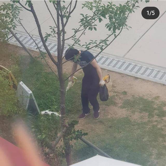 2019년 7월 경의선 숲길 길고양이 '자두'를 잔혹하게 살해한 정모씨의 범행 당시 모습. 'cd_cafe' 인스타그램 캡처