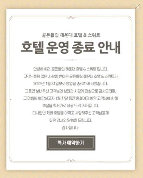 골든튤립© 뉴스1