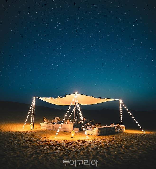 사막 베두인 체험