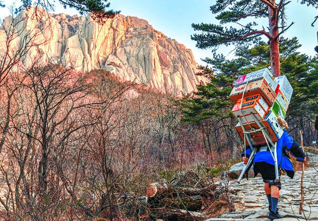 본인의 키만큼 높은 채소와 과일 상자를 지게에 진 채 이동하고 있는 임씨.