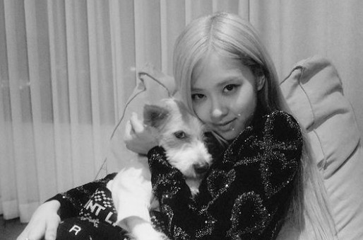 Rosé from group BLACKPINK shared his daily routine with his pet dog.On the afternoon of the 4th, Rosé posted a picture on his instagram without any words.In the photo, Rosé took a picture with a dog in his arms, and his face was staring at the camera, revealing his affection for the puppy.Especially in black and white photographs, the brilliant doll visuals attracted peoples admiration.Meanwhile, Rosé released his first Solo single R in March last year and acted as the title song On The Ground (On the Ground).