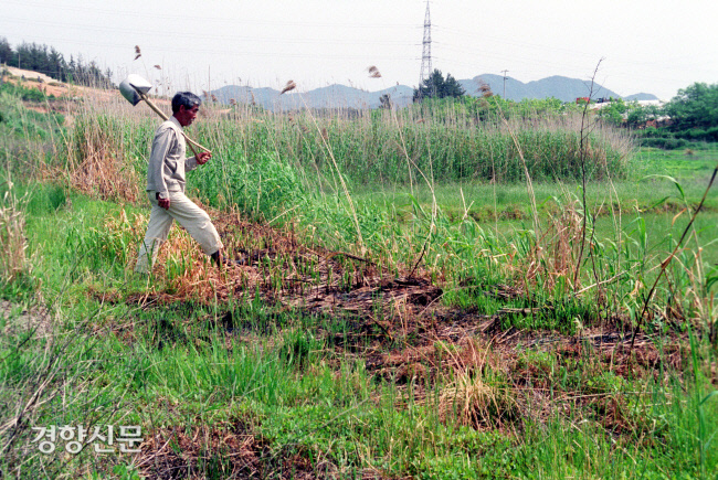 농민이 농사 짓기를 포기해 방치된 휴경지. 경향신문 자료사진