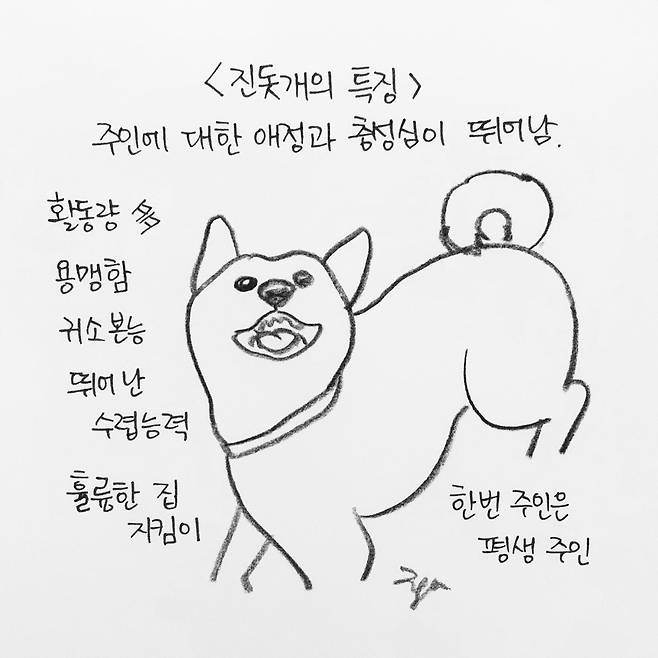 해피펫툰 진돗개 © 뉴스1