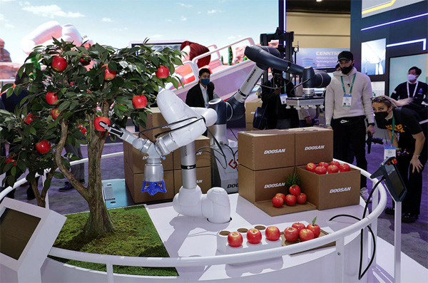 5일(현지시간) CES 2022에 전시된 두산로보틱스의 협동로봇. 로봇이 스마트팜에서 자란 사과나무에서 사과를 수확해 포장하고 있다. [사진 제공 = 두산]