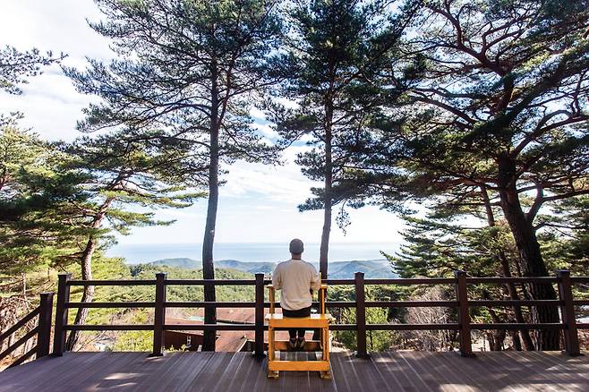 휴양림 포토존인 ‘생각하는 의자’. 의자에 앉으면 금강송 너머 동해뷰가 펼쳐진다.