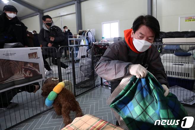 안철수 국민의당 대선 후보가 7일 오전 남양주시 동물보호단체 위액트 남양주 대피소에서 '안철수를 팝니다' 철수마켓의 일환으로 구조견 봉사활동을 하고 있다. 2022.1.7/뉴스1 © News1 이승배 기자