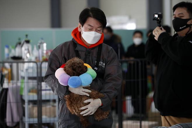 안철수 국민의당 대선 후보가 7일 경기 남양주 동물보호단체 ‘위액트’의 보호견 대피소에서 봉사활동을 하고 있다. 국회사진기자단