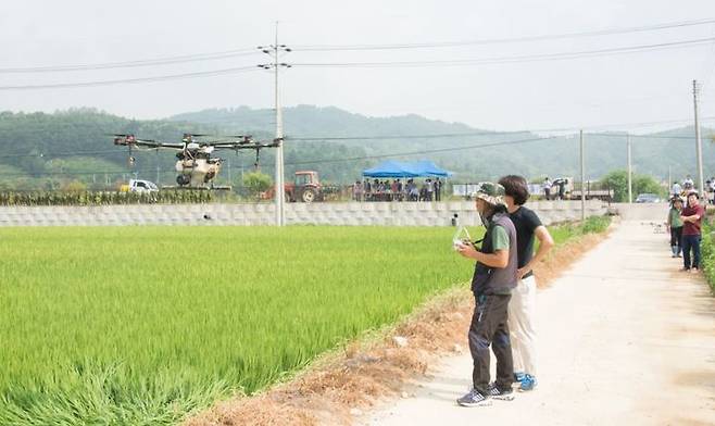 [증평=뉴시스] 증평군농업기술센터 농촌지도 시범사업. (사진=증평군 제공) photo@newsis.com *재판매 및 DB 금지