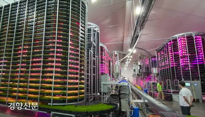 미국 기업 그로브 테크놀로지스의 건초 대량생산 시설 ‘타워팜’. 재배틀을 고층빌딩처럼 쌓아 공간 효율을 높였다. 유튜브 영상 캡처