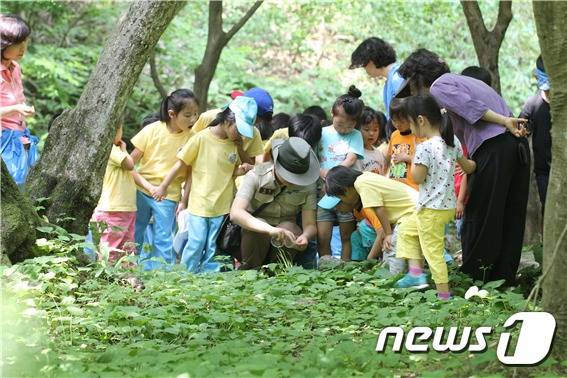 국립공원 내장산생태탐방원 체험 학습.(뉴스1/DB) © 뉴스1