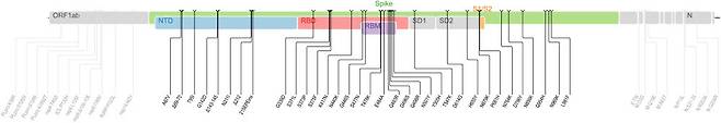오미크론 변이의 유전체. 50개의 돌연변이가 일어났는데, 이 중 32개가 스파이크 단백질에서 발견됐다. (출처: Stanford University CORONAVIRUS ANTIVIRAL & RESISTANCE DATABASE)