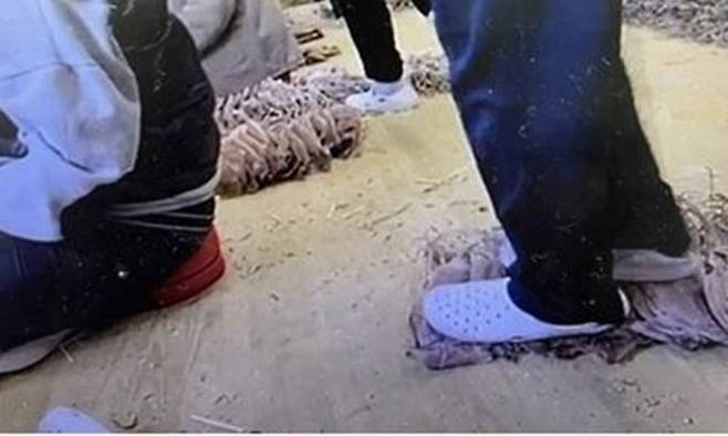 한 외국인 근로자가 건조 오징어를 제조하는 과정에서 운동화로 오징어를 밟고 있다. SNS 캡처