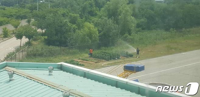 텃밭 조성이 금지된 소방활주로 인근에 심어진 농작물에 화재진압 장비인 소화전 및 소방호스를 사용해 물을 주는 소방대원. 이 대원은 A소방정의 지시로 강제로 A소방정의 개인용 텃밭에서 근무 중 일을 하고 있는 것으로 확인됐다.(소방을사랑하는공무원노조 제공)2021.1.11/뉴스1 © News1 박아론 기자