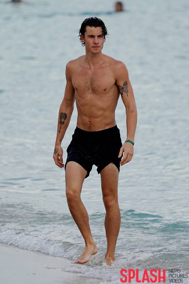 션 멘데스 / 사진 = Splash news © 뉴스1