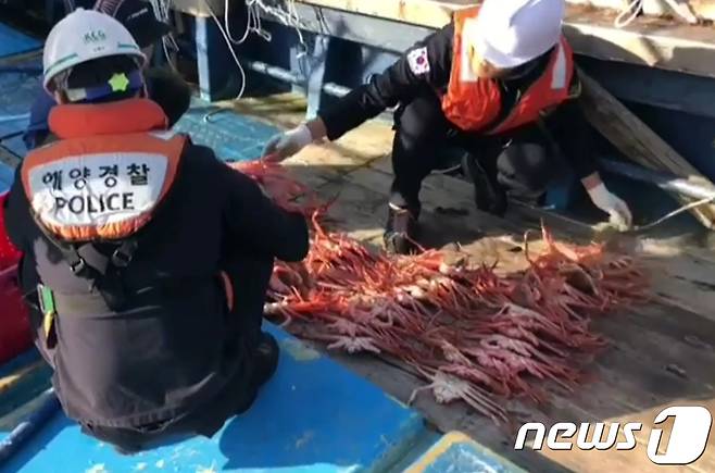 (사진은 기사 내용과 무관함) / 뉴스1 © News1