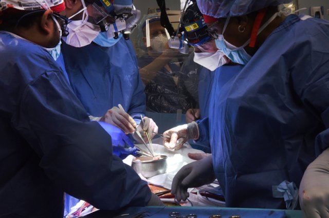 메릴랜드 의대 대학원 외과의사 팀이 1월 7일 유전자 처리한 돼지 심장을 인체에 이식수술하는 장면. (메릴랜드 의대 제공 사진)