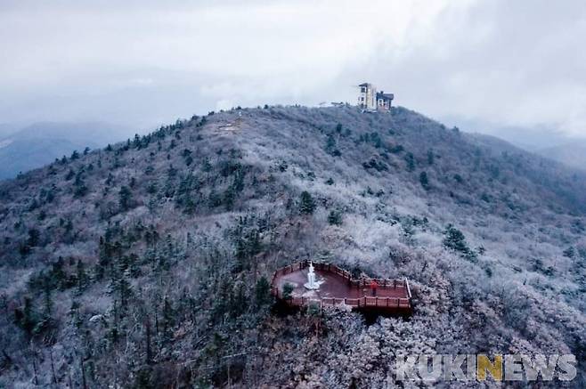 평창평화봉 숲길.