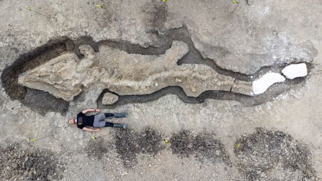 영국 민간 수도회사 앵글리안워터는 10일(현지시간) 홈페이지에 러틀랜드 산호섬 경관 재정비 작업 중 발견한 길이 10m짜리 어룡 화석 사진을 공개했다. 화석의 두개골 부분 길이만 2m로, 사람보다 크다. 앵글리안워터 홈페이지