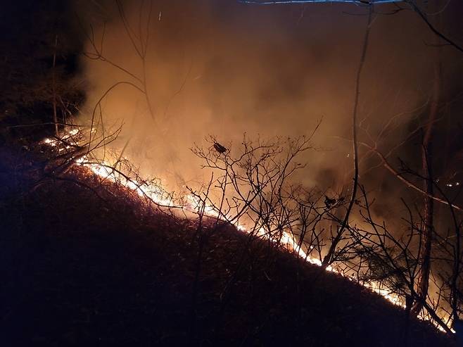 영주시 평은면 오운리에서 산불이 발생해 불길이 확산되고 있다. (사진=영주시 제공)@newsis.com *재판매 및 DB 금지