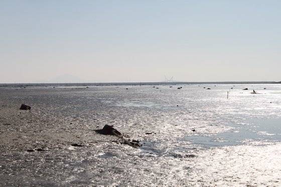 신공항 예정부지에 속한 수라갯벌에 바닷물이 들어온 모습. 신공항 찬성 측은 밀물과 썰물이 없기 때문에 갯벌이 아니라고 본다.