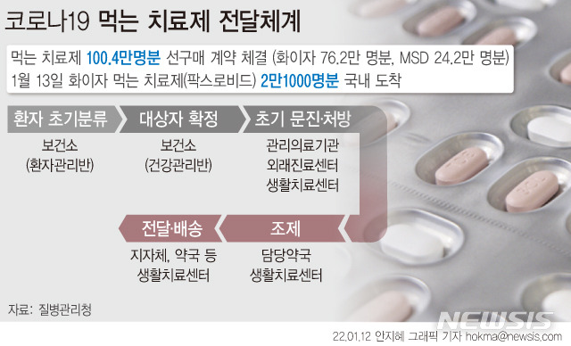 [서울=뉴시스]먹는 코로나19 치료제 초도물량이 오는 13일 국내에 도입된다. 이번에 도입되는 먹는 치료제는 오는 14일부터 만 65세 이상 고령층 또는 면역저하자 중 재택치료자 및 생활치료센터 입소자에게 우선 투약한다. (그래픽=안지혜 기자)  hokma@newsis.com