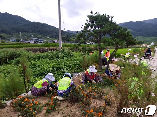 산청군 노인일자리 지원사업 모습(산청군 제공)© 뉴스1