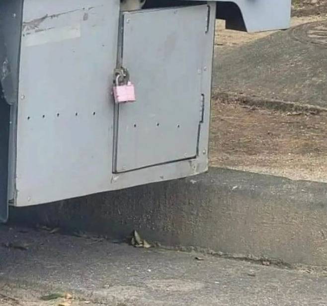 /동물권 단체 케어