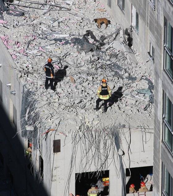 14일 광주광역시 서구 화정동 붕괴 아파트 건물에서 소방대원과 구조견이 인명수색을 하고 있다. 프리랜서 장정필