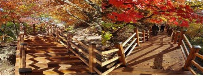 문수산 데크계단 설치완료. / 사진제공=김포시