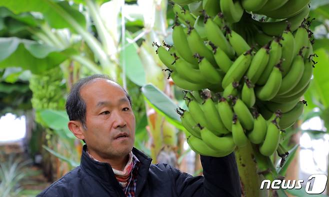 오영상 엣지해남바나나 대표. © News1 박영래 기자