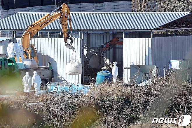 전남 영암군의 한 오리 농장에서 방역당국이 살처분 작업을 하고 있다. 뉴스1 자료사진./뉴스1 © News1