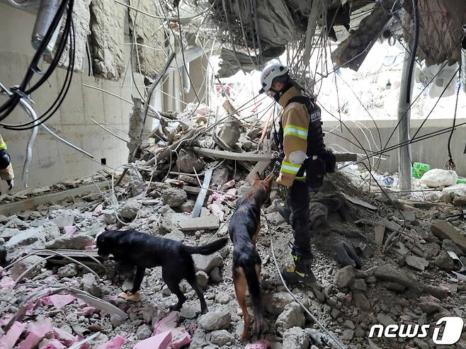 14일 오후 광주 서구 화정동 '현대산업개발 아파트 신축공사 붕괴사고' 현장에서 소방당국이 인명구조견과 함께 실종자 수색을 하고 있다. (소방청 제공) 2022.1.14/뉴스1 © News1