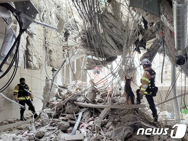 광주 서구 화정동 '현대산업개발 아파트 신축공사 붕괴사고' 현장에서 소방당국이 인명구조견과 함께 실종자 수색을 하고 있다. 지난 11일 오후 3시46분쯤 해당 아파트 공사현장에서 붕괴 사고가 발생해 6명이 실종됐다.(소방청 제공) 2022.1.14/뉴스1 © News1