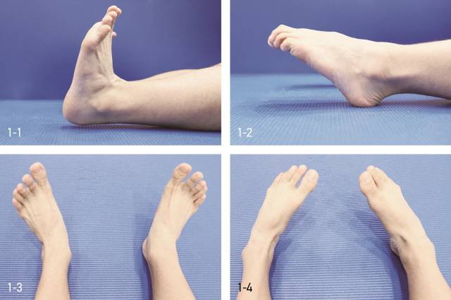 무지외반증 진행 막는 스트레칭/책 <발과 발목에 문제가 생겼습니다>