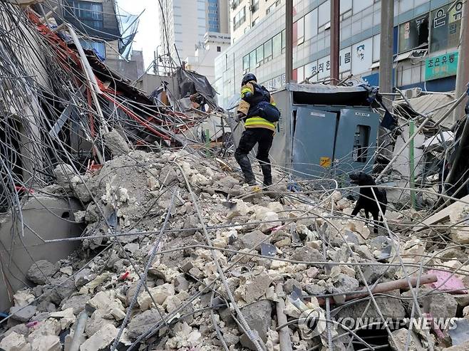 구조견 [소방청 제공. 재판매 및 DB 금지]