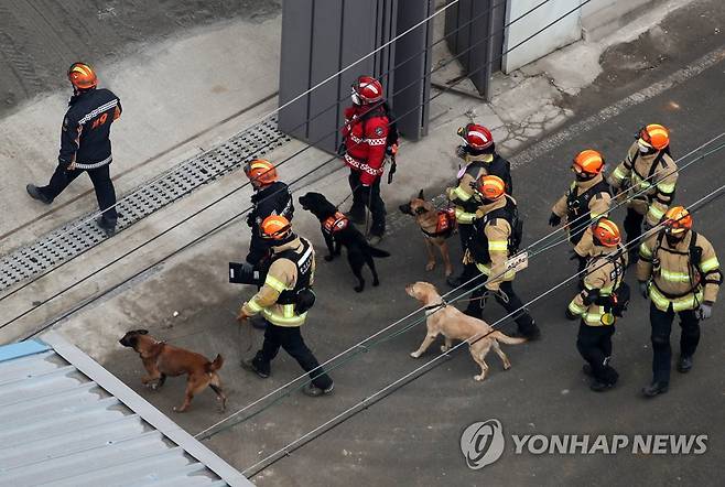 실종자 수색에 나서는 구조견 (광주=연합뉴스) 조남수 기자 = 광주 신축 아파트 붕괴 사고 엿새째에 접어든 16일 오전 구조견들이 실종자 수색에 나서고 있다. 2022.1.16 iso64@yna.co.kr