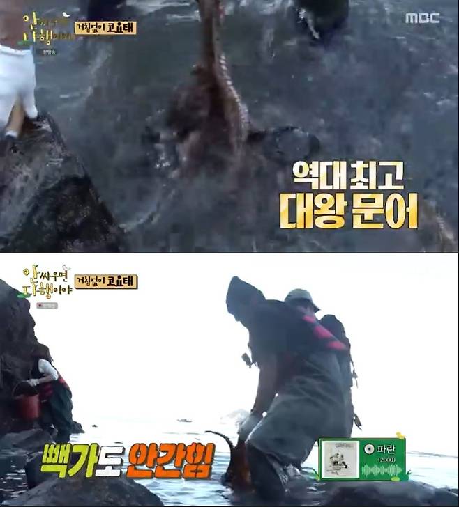 MBC '안싸우면 다행이야' 캡처 © 뉴스1