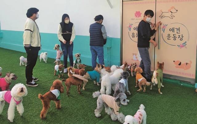 ▶2021년 소셜리빙랩 ‘내(my)일(job) 길찾기’ 진로체험활동